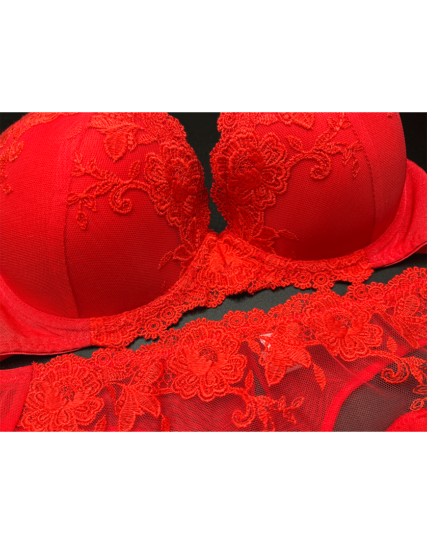 LIGHTLY PADDED WIRED FANCY BRA WITH MATCHING PANTY-RED