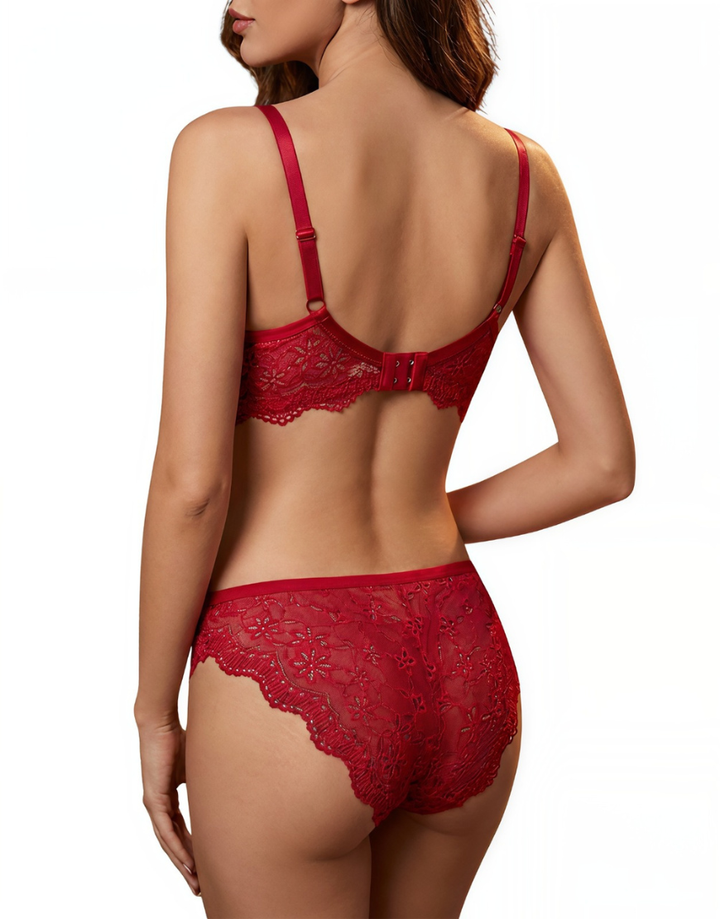 LOSHA LIGHTLY PADDED WIRED BRA SET WITH TOUCH OF LACE-RED