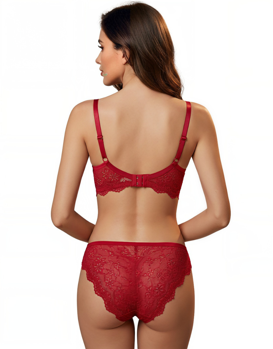 LOSHA LIGHTLY PADDED WIRED BRA SET WITH TOUCH OF LACE-RED