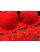 LIGHTLY PADDED WIRED FANCY BRA WITH MATCHING PANTY-RED