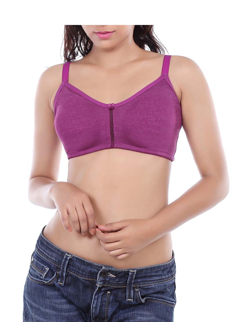 LOSHA DOUBLE LAYERED WIRE-FREE BRA WITH HIGH MID PANEL-GRAPE